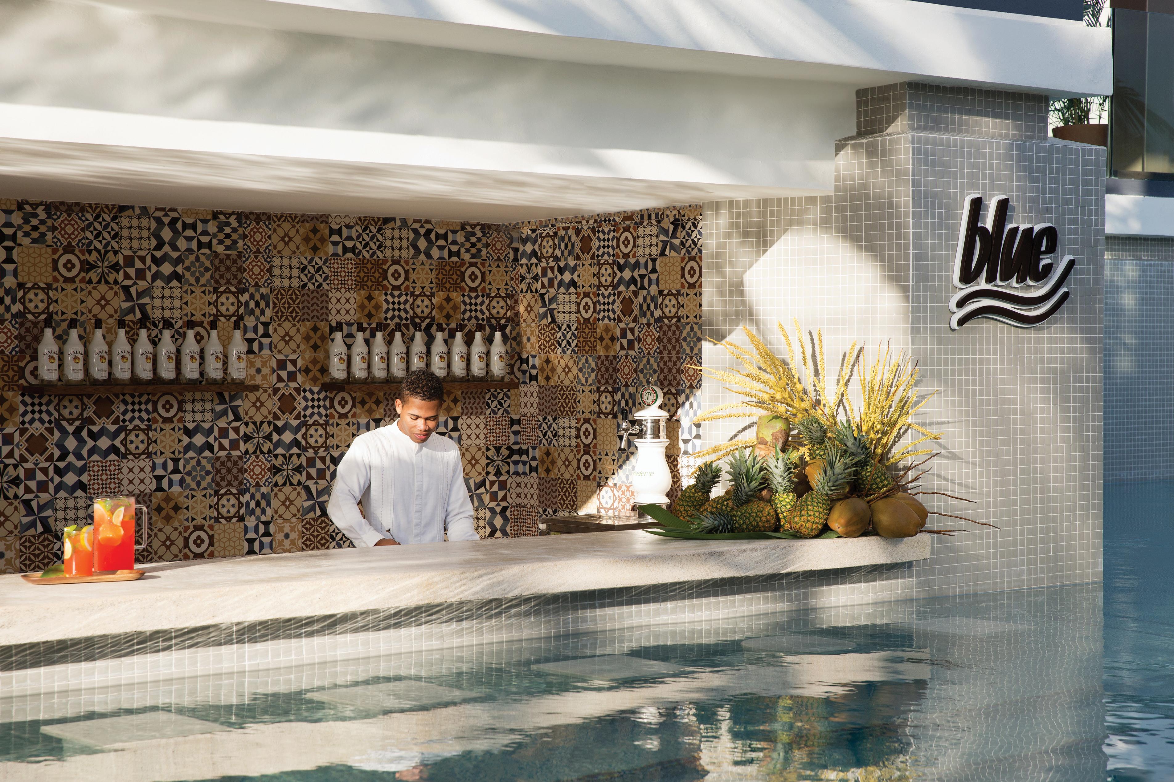 Hotel Excellence El Carmen (Adults Only) Punta Cana Exterior foto
